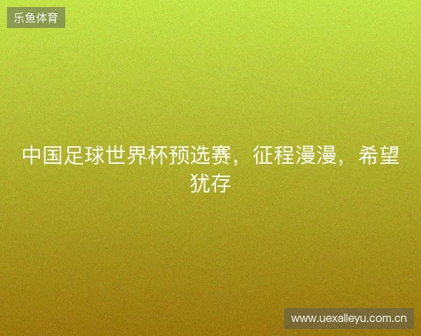 中国足球世界杯预选赛，征程漫漫，希望犹存