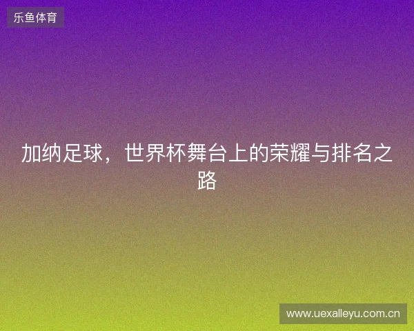 加纳足球，世界杯舞台上的荣耀与排名之路